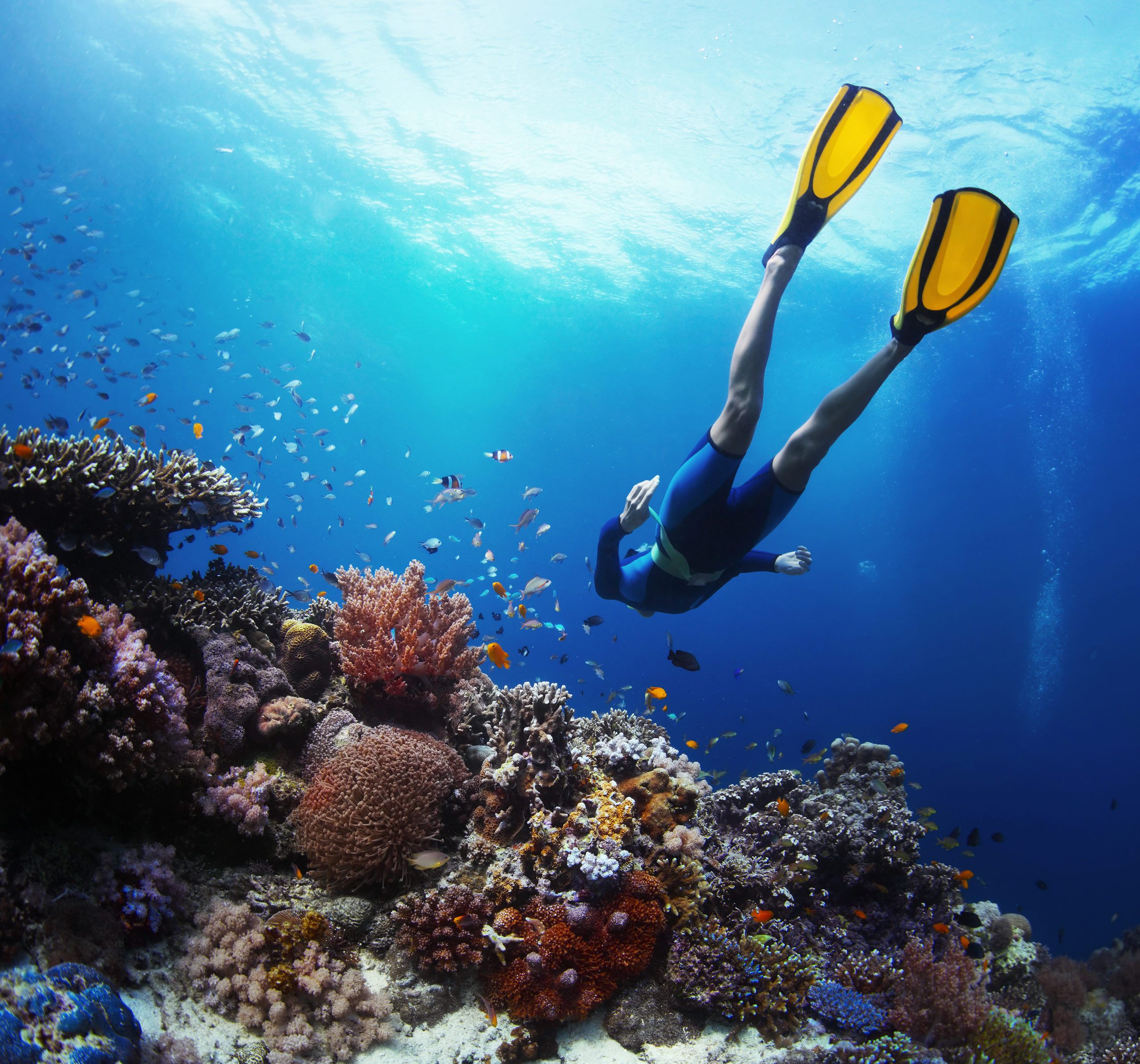 Deep Sea Diving Sri Lanka
