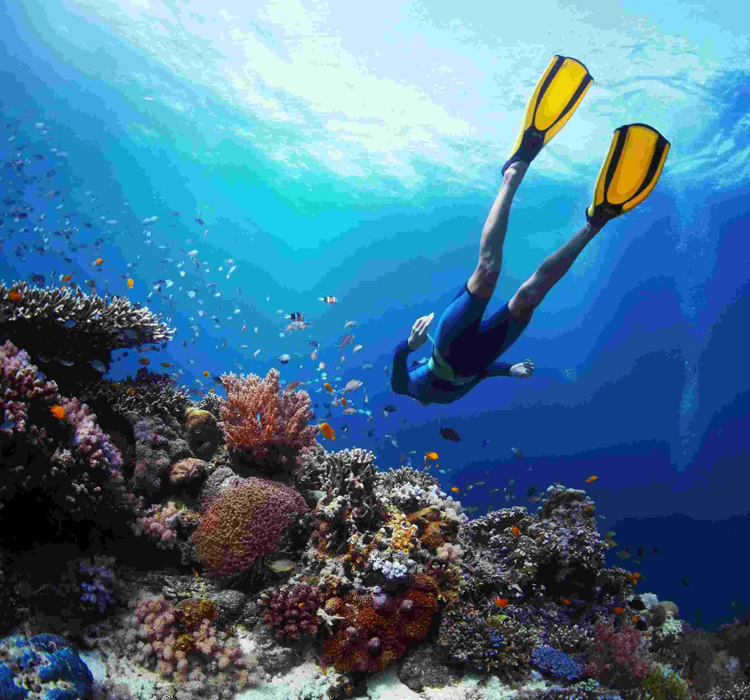 Deep Sea Diving Sri Lanka